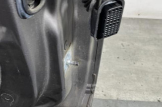 Porte avant gauche RENAULT MEGANE 3
