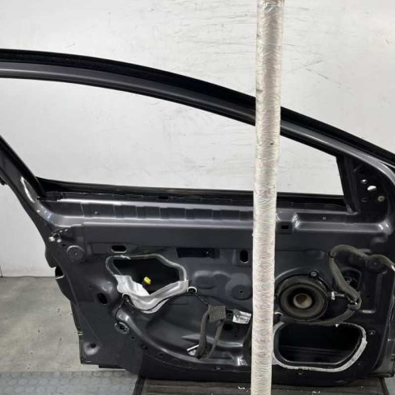 Porte avant gauche RENAULT MEGANE 3 Photo n°9