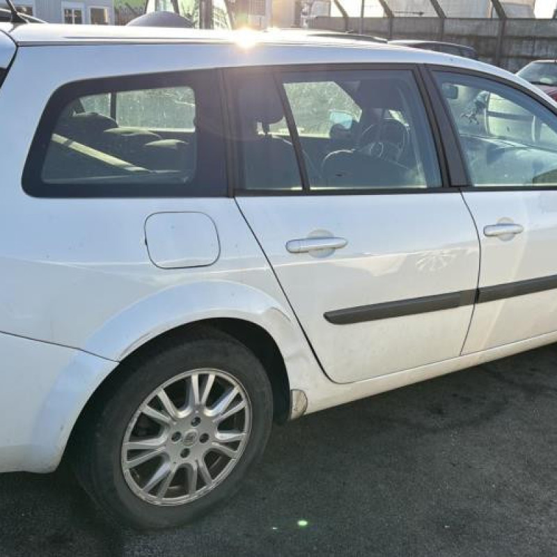 Malle/Hayon arriere RENAULT MEGANE 2 Photo n°12