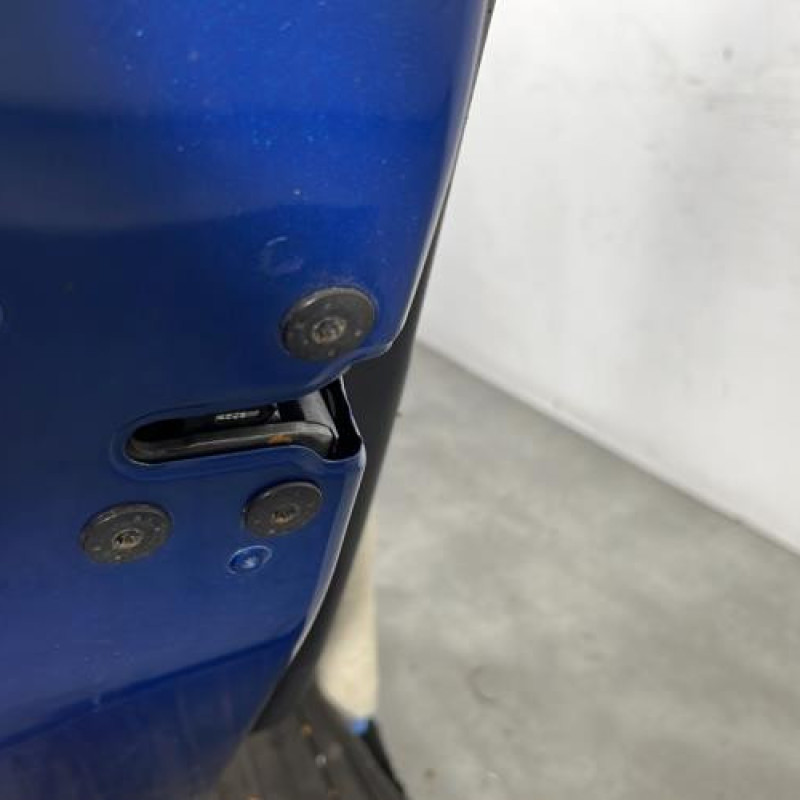 Porte arriere gauche RENAULT GRAND SCENIC 3 Photo n°3