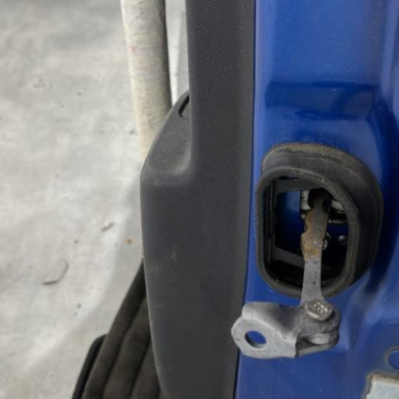 Porte arriere gauche RENAULT GRAND SCENIC 3 Photo n°5