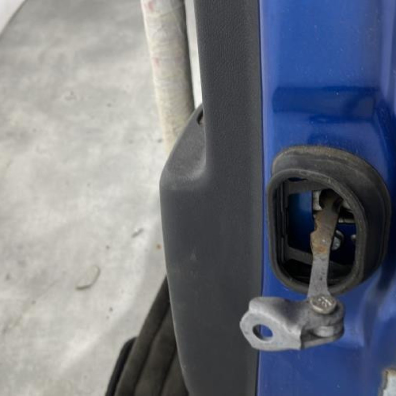 Porte arriere gauche RENAULT GRAND SCENIC 3 Photo n°7