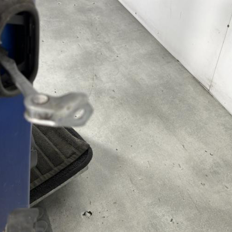 Porte avant droit RENAULT GRAND SCENIC 3 Photo n°7