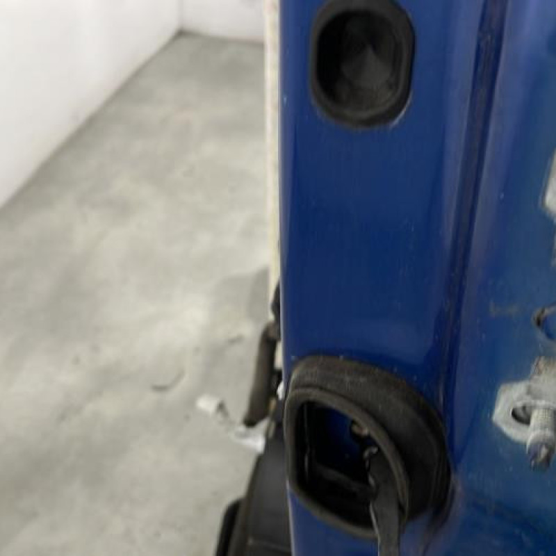 Porte avant gauche RENAULT GRAND SCENIC 3 Photo n°5