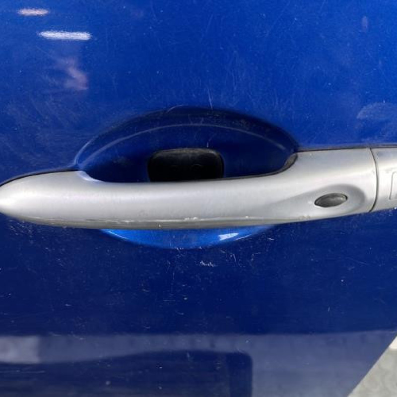 Porte avant gauche RENAULT GRAND SCENIC 3 Photo n°6