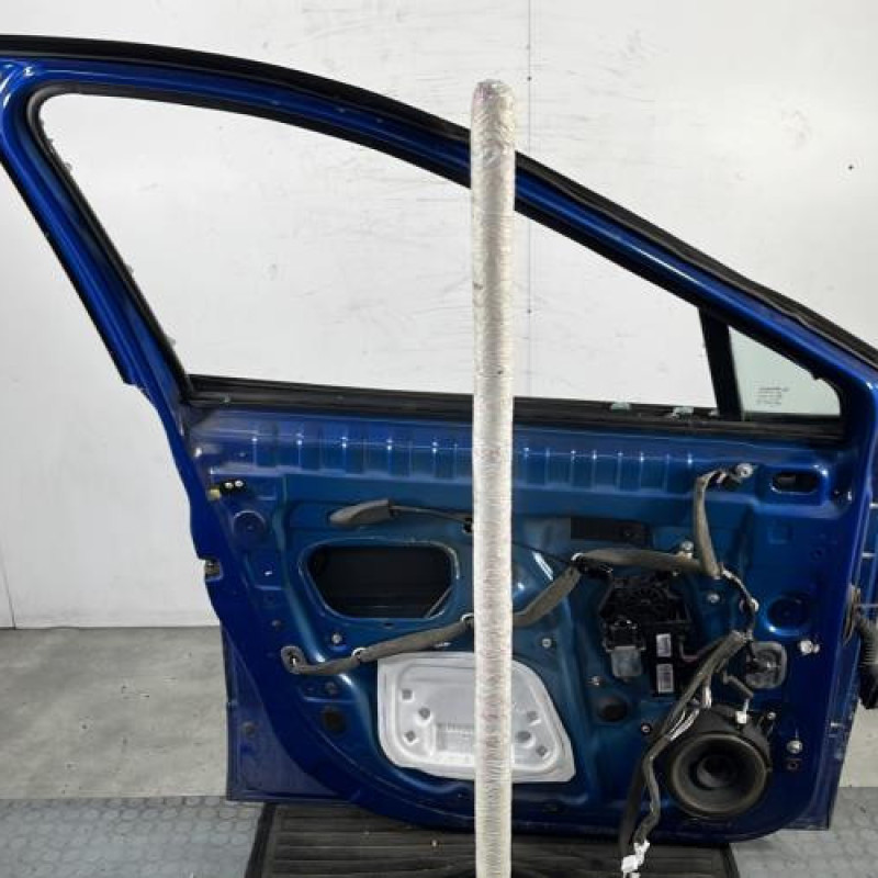 Porte avant gauche RENAULT GRAND SCENIC 3 Photo n°7