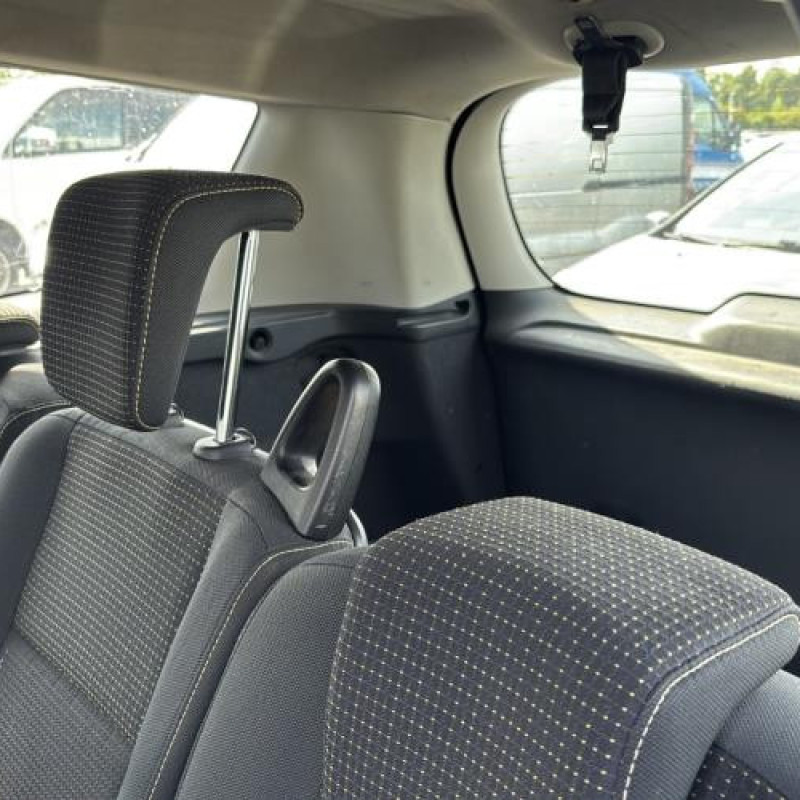 Porte avant gauche RENAULT GRAND SCENIC 3 Photo n°18
