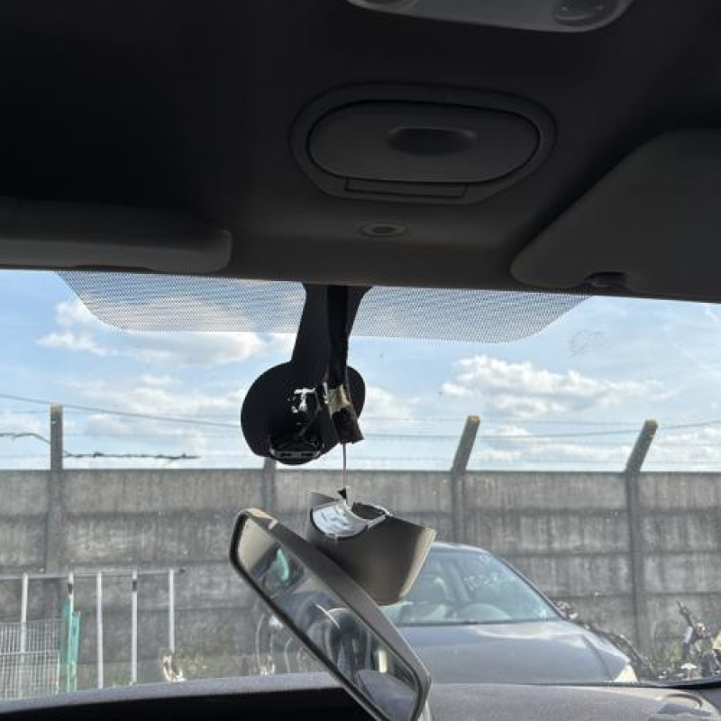 Porte avant gauche RENAULT GRAND SCENIC 3 Photo n°20