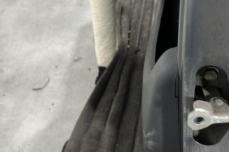 Porte arriere gauche PEUGEOT 107