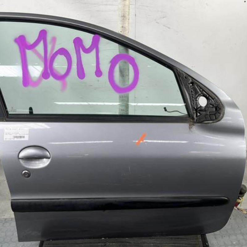 Porte avant droit PEUGEOT 206 Photo n°1