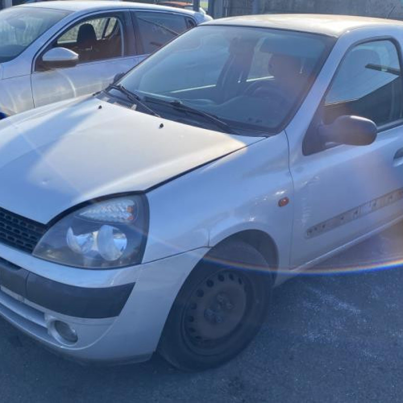 Malle/Hayon arriere RENAULT CLIO 2 Photo n°1
