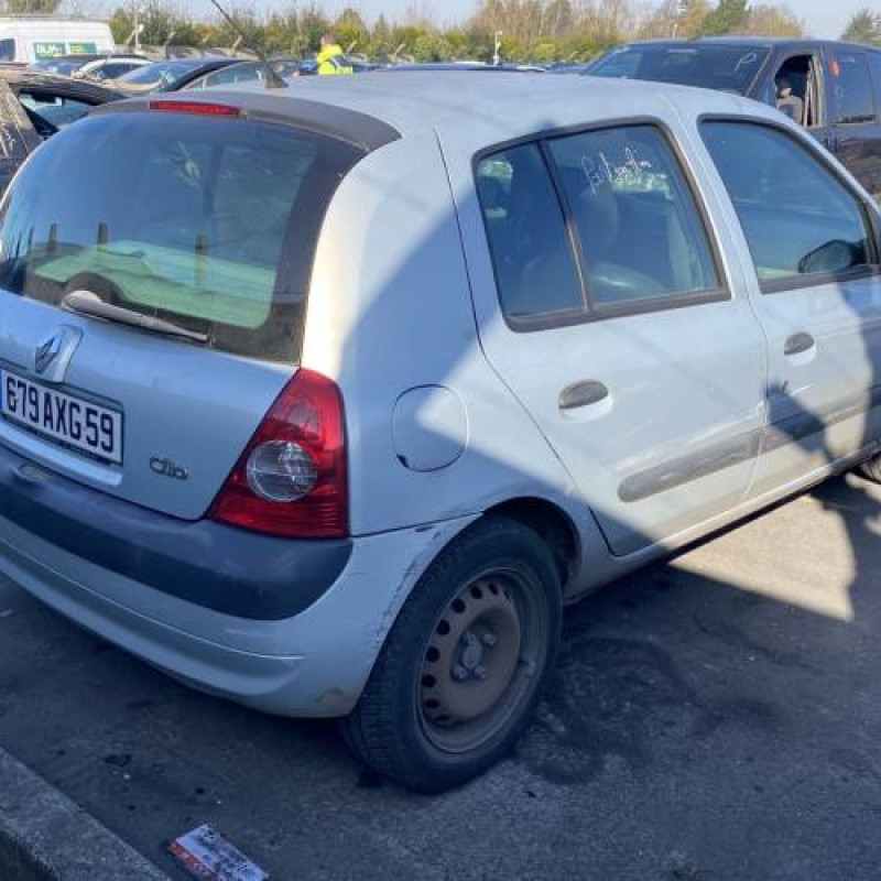 Malle/Hayon arriere RENAULT CLIO 2 Photo n°3