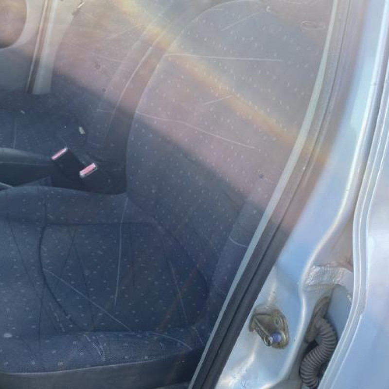 Malle/Hayon arriere RENAULT CLIO 2 Photo n°11