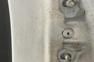 Porte arriere gauche RENAULT MEGANE 3