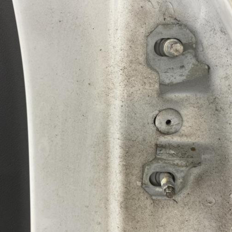 Porte arriere gauche RENAULT MEGANE 3 Photo n°2