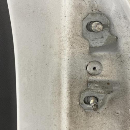 Porte arriere gauche RENAULT MEGANE 3