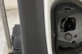 Porte arriere gauche RENAULT MEGANE 3