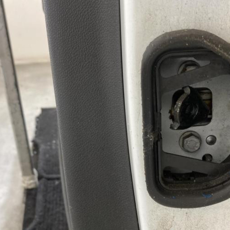 Porte arriere gauche RENAULT MEGANE 3 Photo n°3
