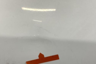 Porte arriere gauche RENAULT MEGANE 3