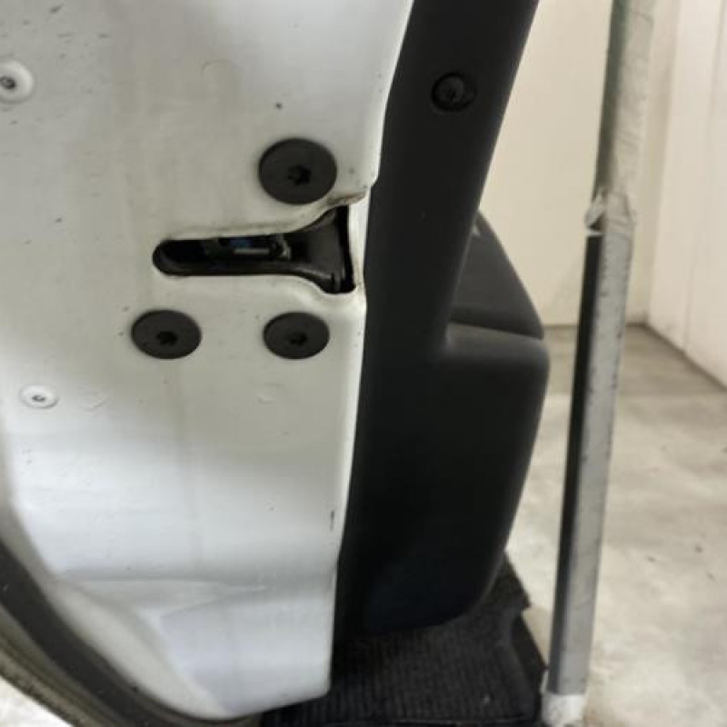 Porte arriere gauche RENAULT MEGANE 3 Photo n°5