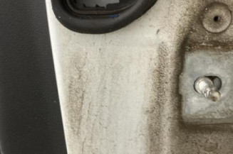 Porte arriere gauche RENAULT MEGANE 3