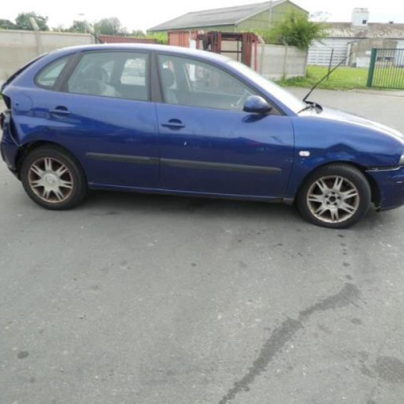 Porte avant gauche SEAT IBIZA 3 Photo n°3