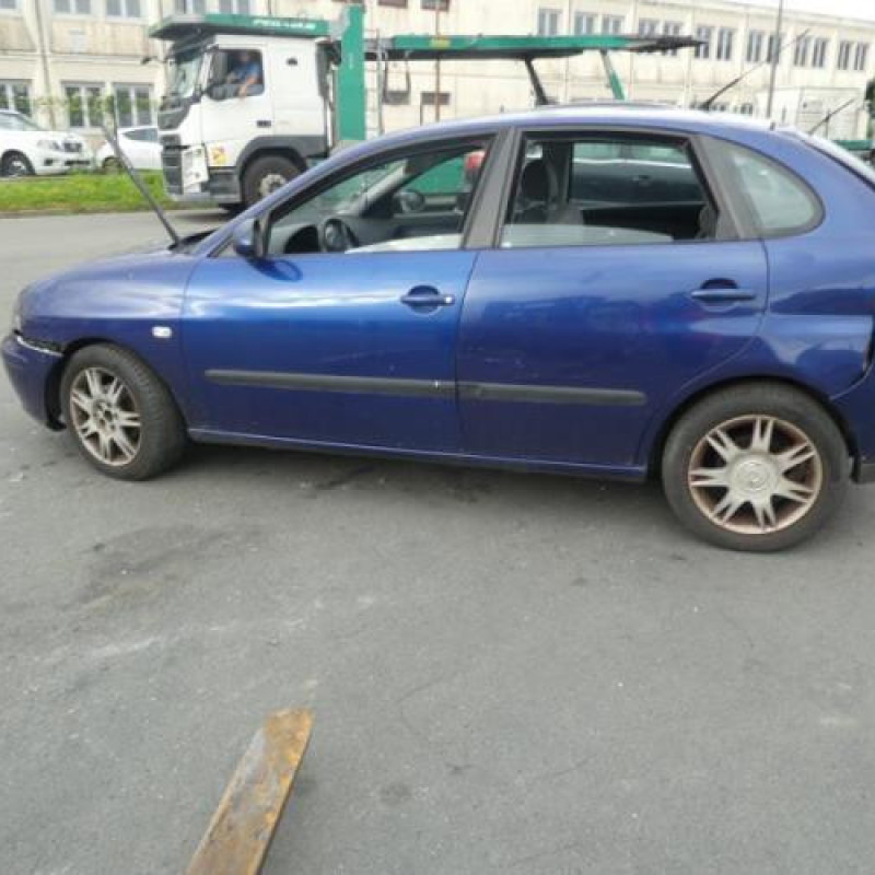 Porte avant gauche SEAT IBIZA 3 Photo n°9