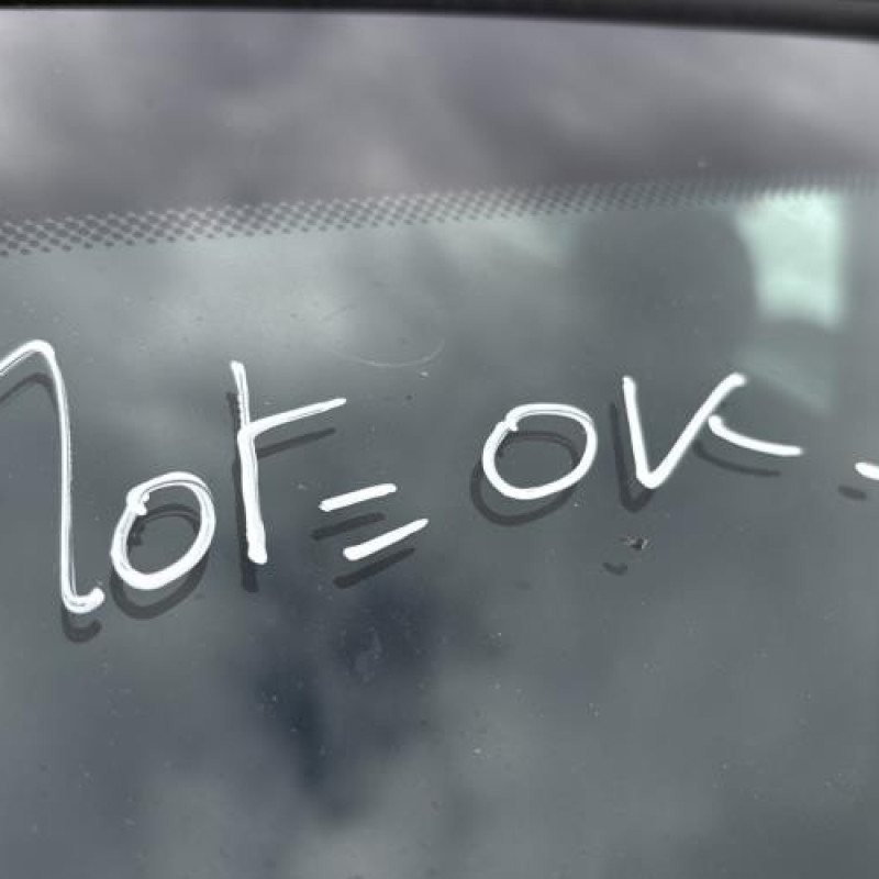 Moteur RENAULT SCENIC 1 Photo n°20