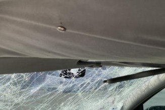 Etrier arriere gauche (freinage) RENAULT LAGUNA 2
