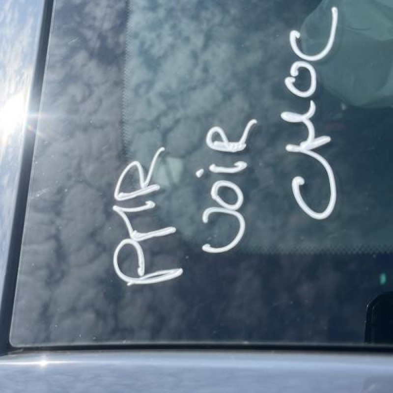 Amortisseur avant gauche OPEL CORSA F Photo n°13