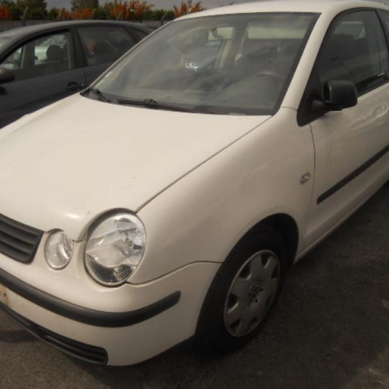 Porte avant droit VOLKSWAGEN POLO 4 Photo n°3