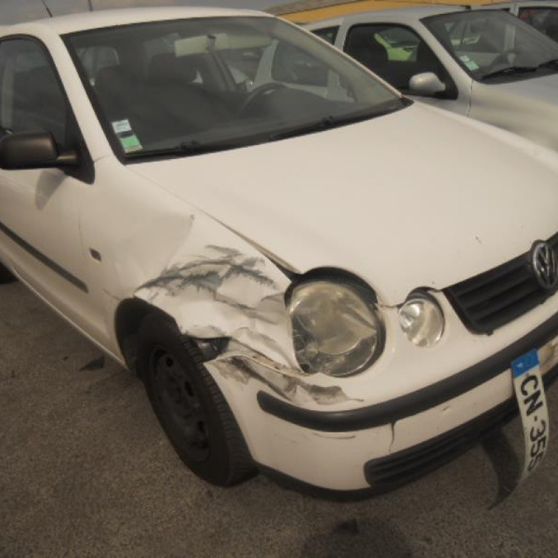 Porte avant droit VOLKSWAGEN POLO 4 Photo n°4