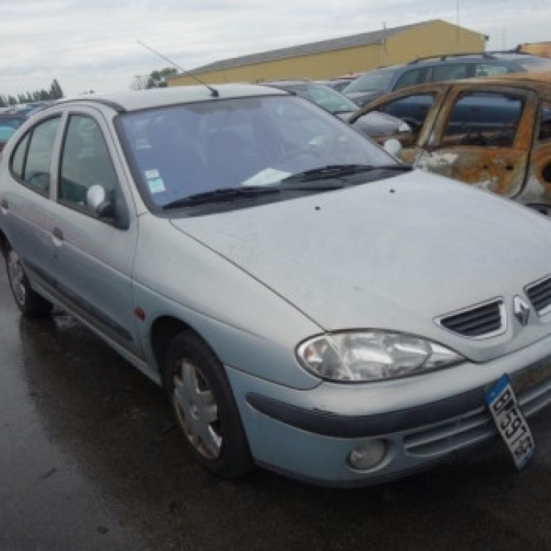 Porte avant droit RENAULT MEGANE 1 Photo n°6
