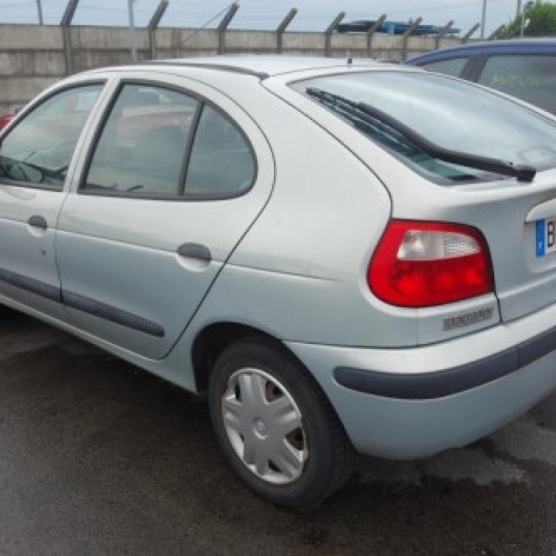 Porte avant droit RENAULT MEGANE 1 Photo n°9