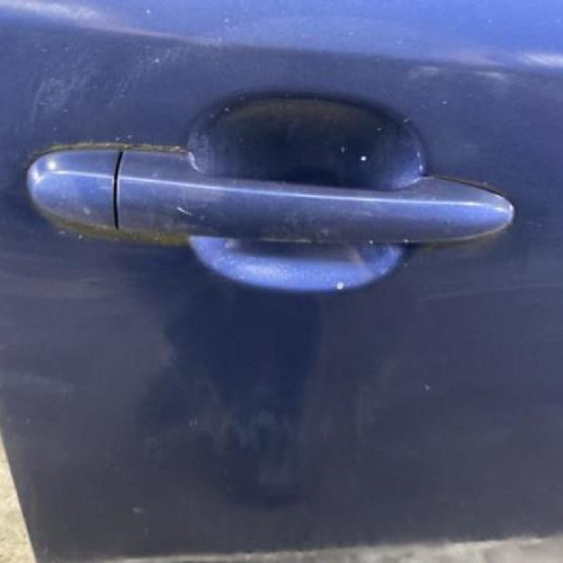 Porte avant droit KIA CARENS 3 Photo n°3