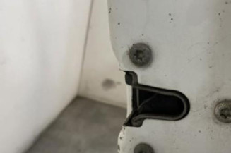 Porte avant droit RENAULT TRAFIC 2