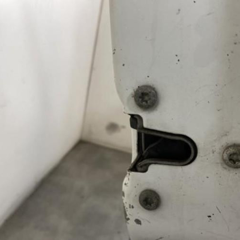 Porte avant droit RENAULT TRAFIC 2 Photo n°4