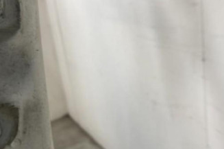 Porte avant droit RENAULT TRAFIC 2