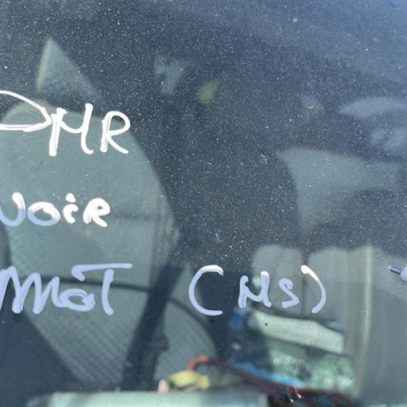 Porte avant droit RENAULT TRAFIC 2 Photo n°10