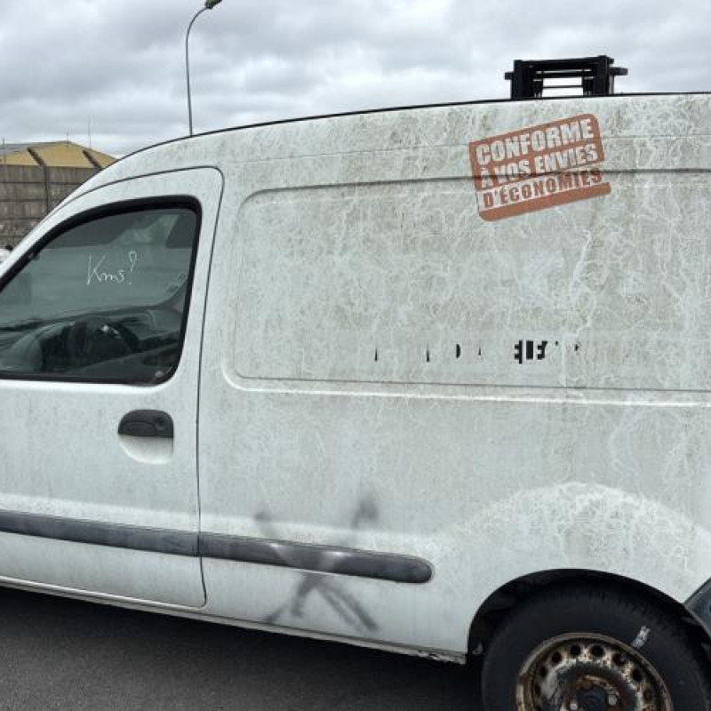 Porte avant gauche RENAULT KANGOO 1 Photo n°13