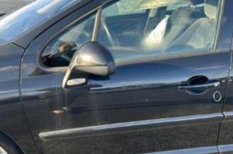 Aile avant gauche PEUGEOT 207