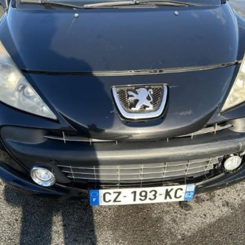 Aile avant gauche PEUGEOT 207 Photo n°13