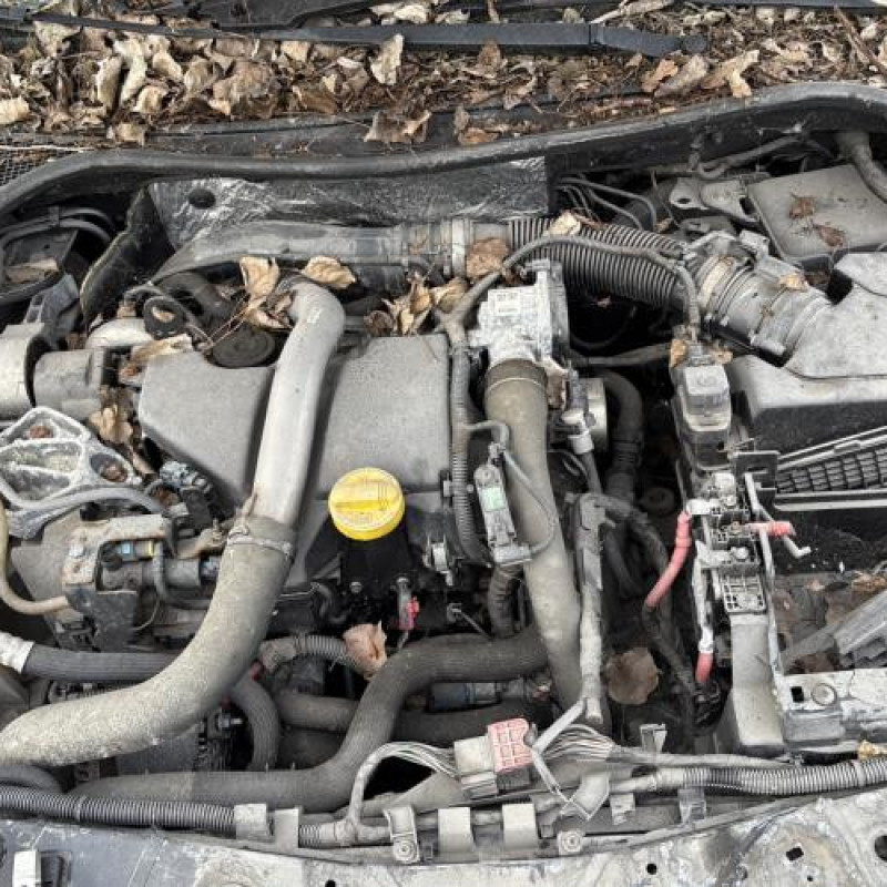 Feu arriere principal droit (feux) RENAULT LAGUNA 3 Photo n°12