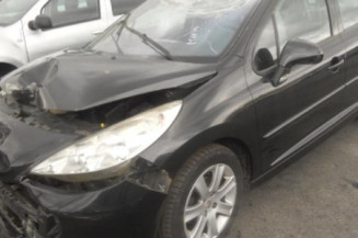 Porte arriere gauche PEUGEOT 207