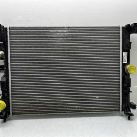 Radiateur eau RENAULT ARKANA Photo n°1