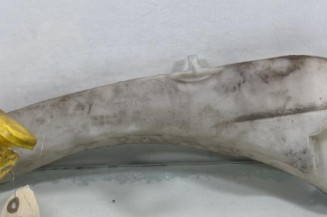 Vase de lave glace RENAULT MEGANE 1