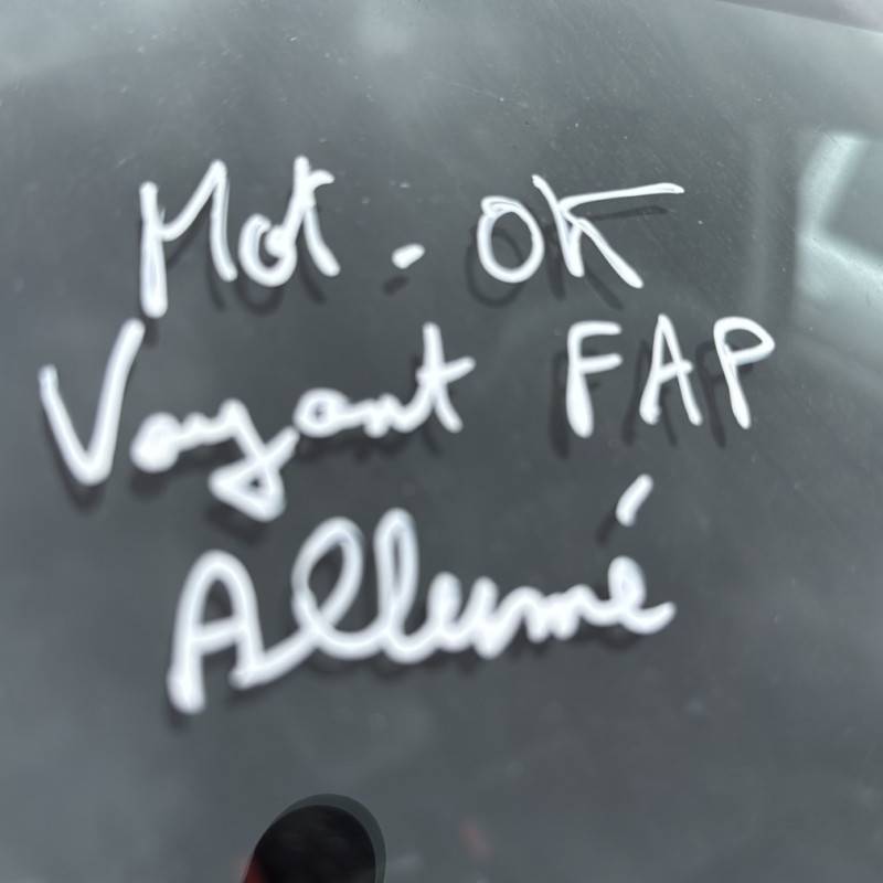 PEUGEOT 4007 2.2 HDI - 16V TURBO 4X4 Photo n°22