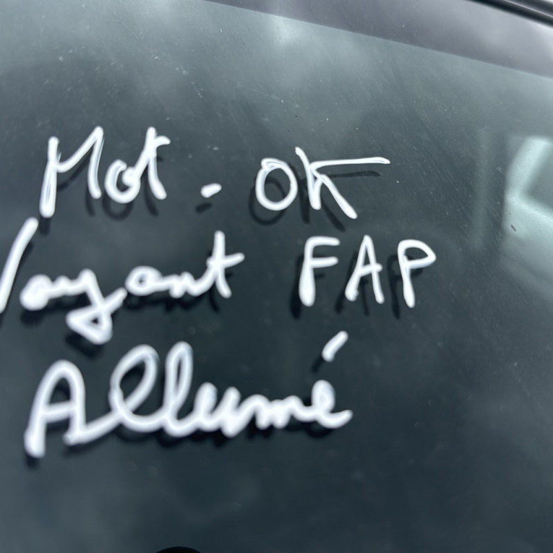 PEUGEOT 4007 2.2 HDI - 16V TURBO 4X4 Photo n°25