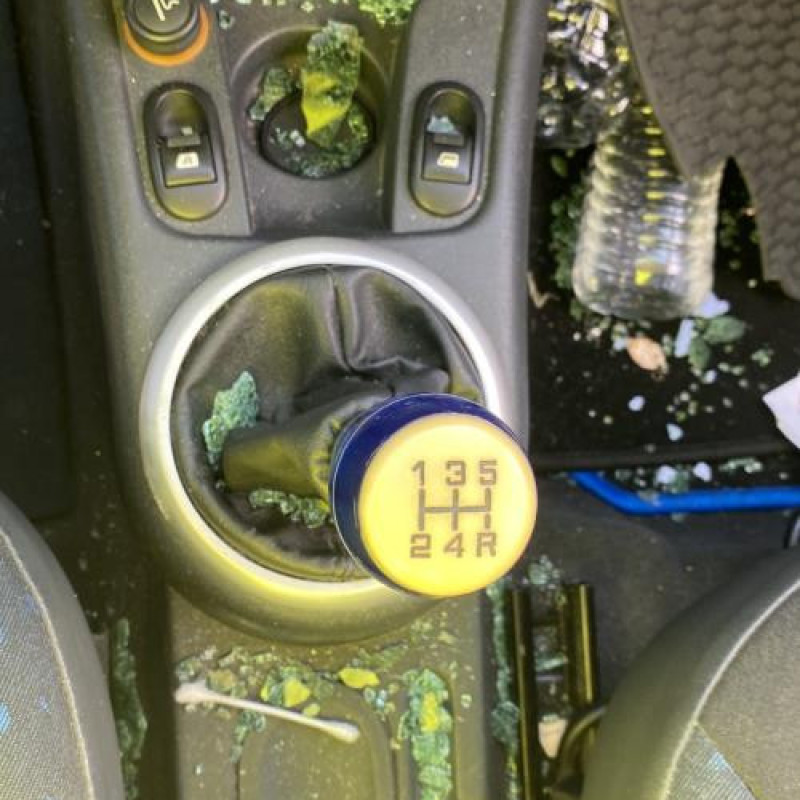 Amortisseur avant droit CITROEN C2 Photo n°19