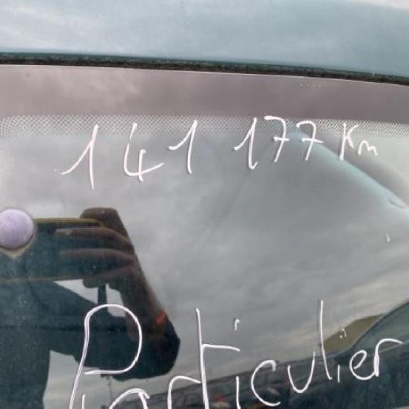 Feu arriere principal gauche (feux) PEUGEOT 206 Photo n°19